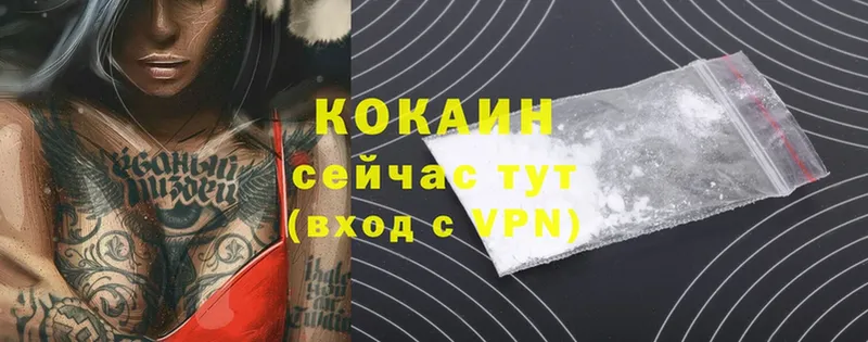 COCAIN 99%  Жиздра 